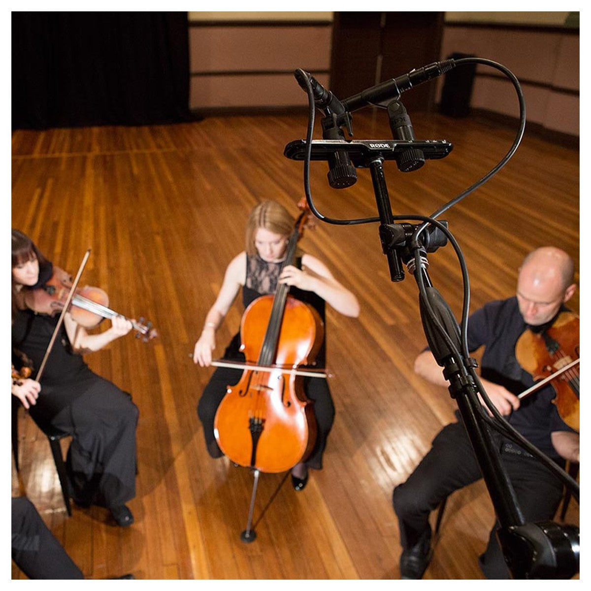 Rode M5 Cardioid Condenser Microphone, Matched Pair