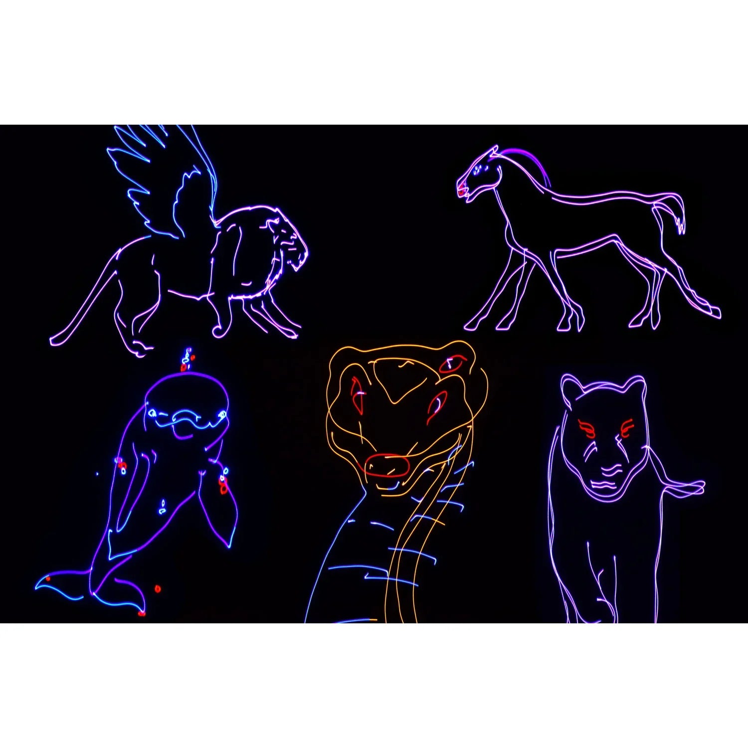 Citronic Animate Smart RGB Smart Animation Laser