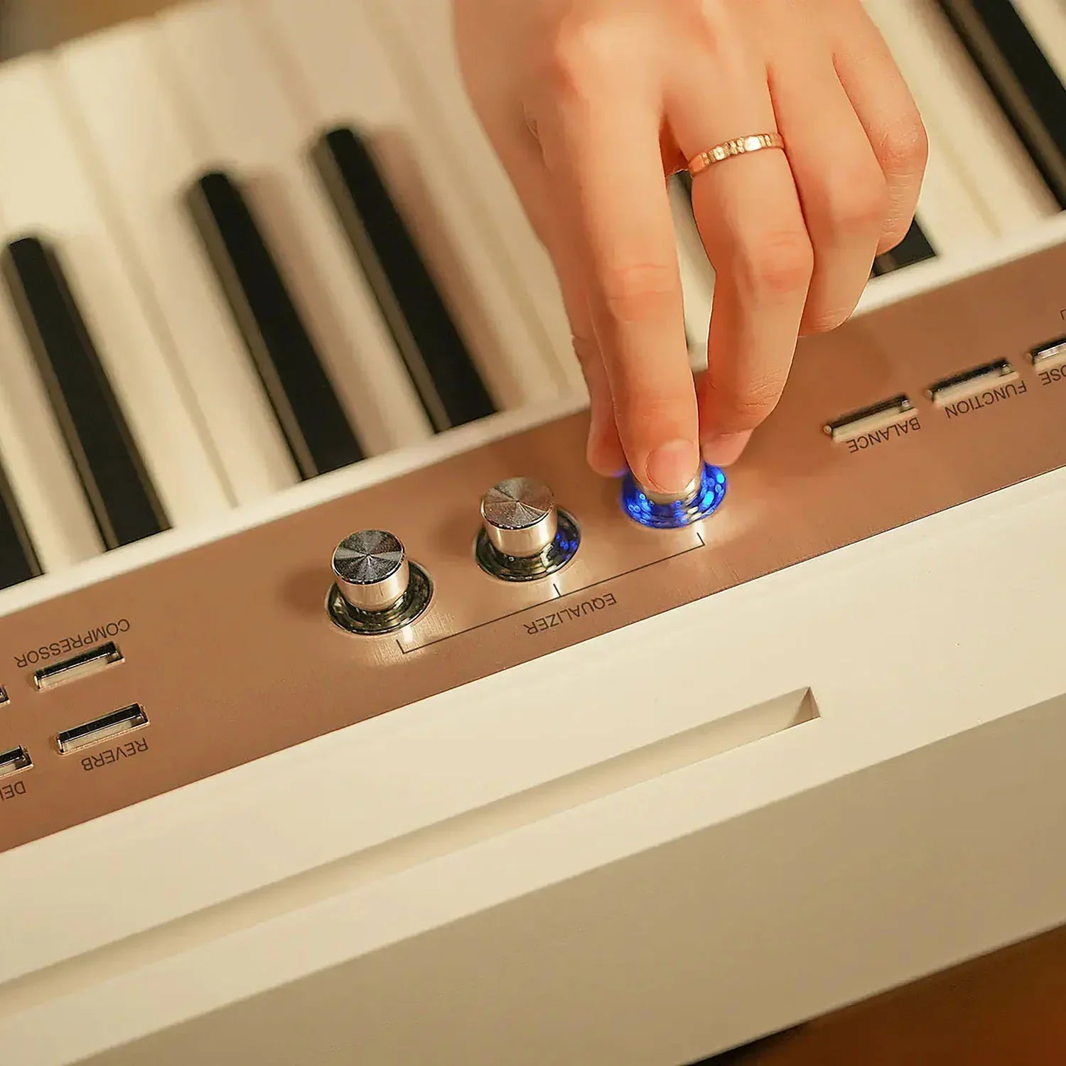 NUX NPK-20 Professional Digital Piano