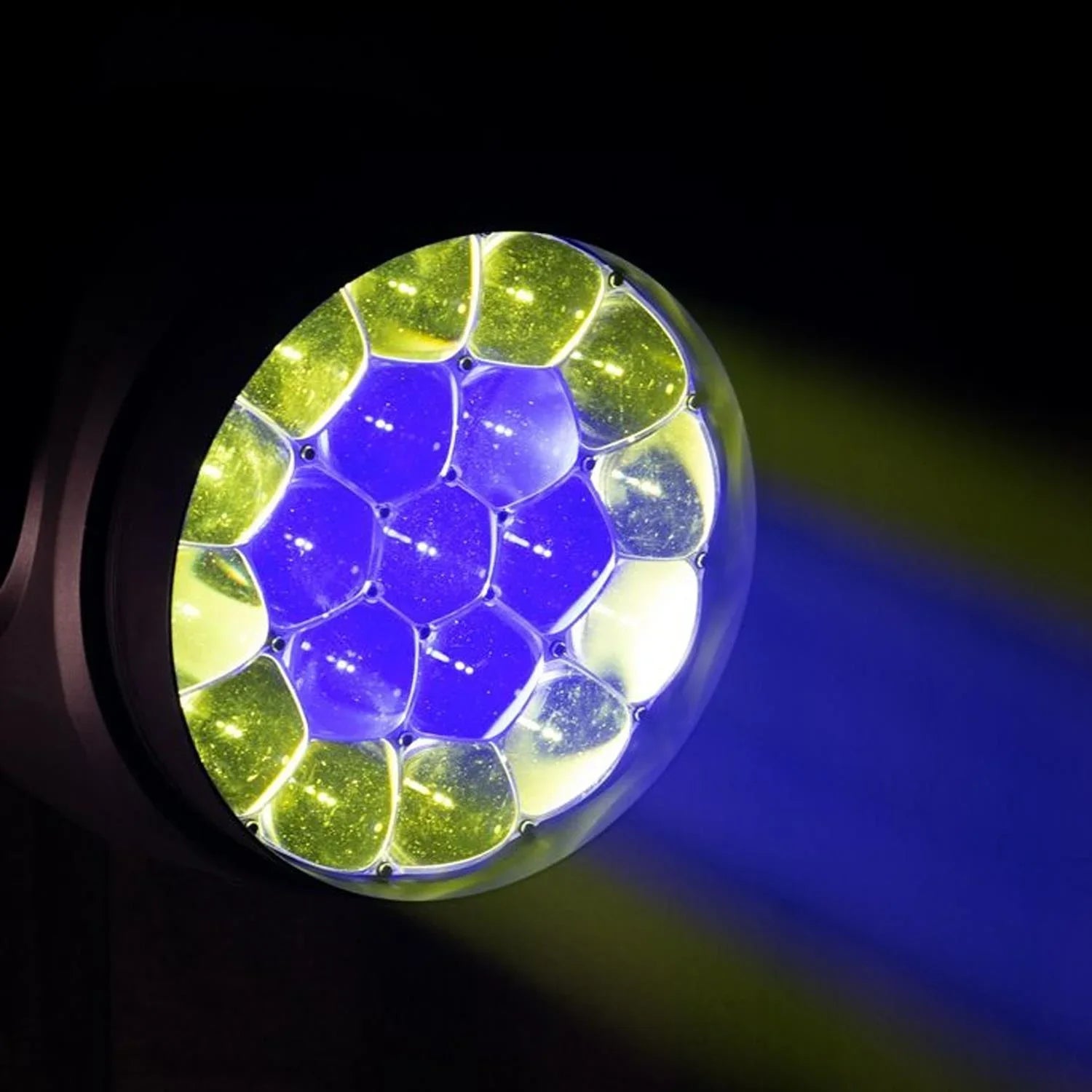 ADJ Focus Flex L19 Moving Head - DY Pro Audio