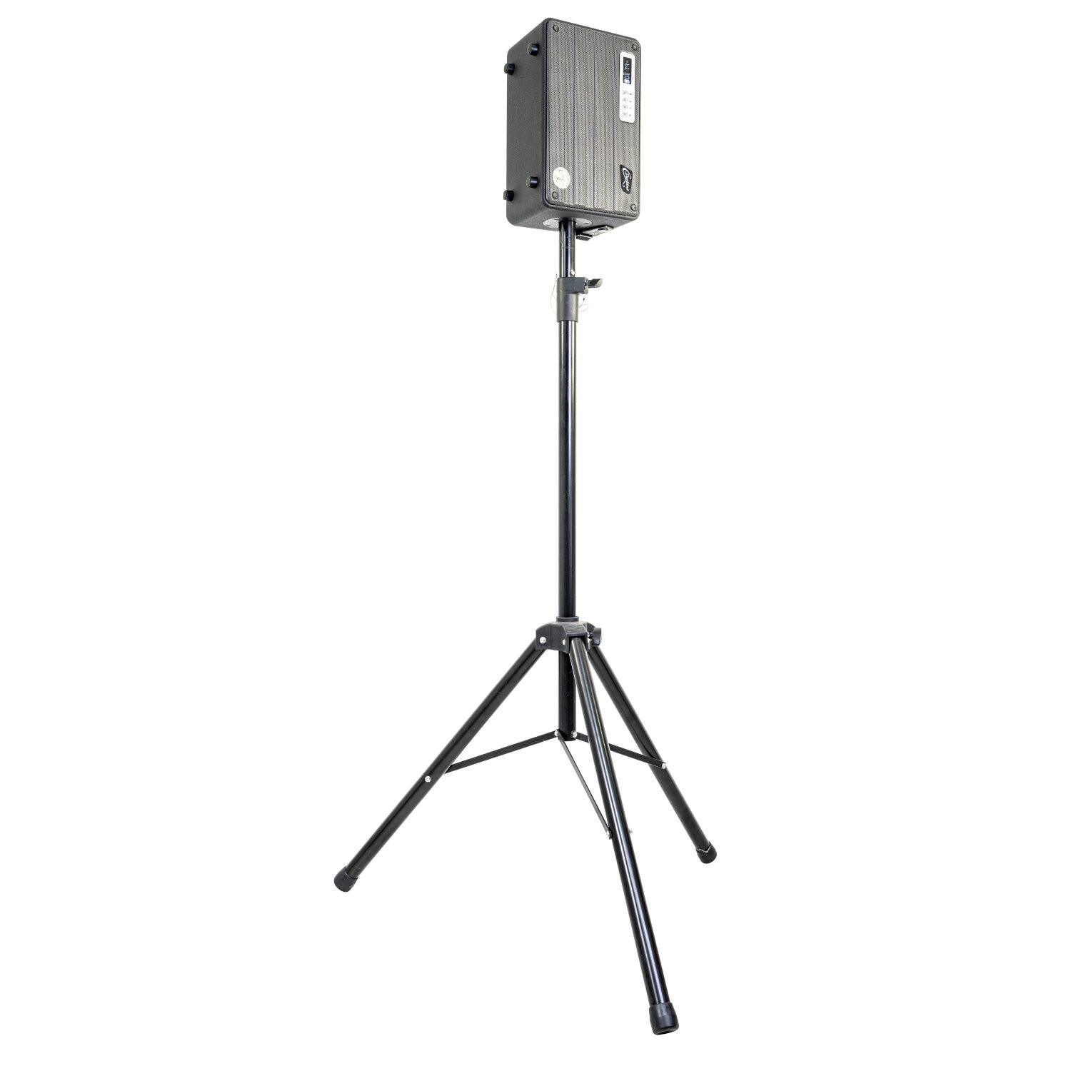 CPerkins Roady FL Portable Combo PA System with UHF Microphone - DY Pro Audio