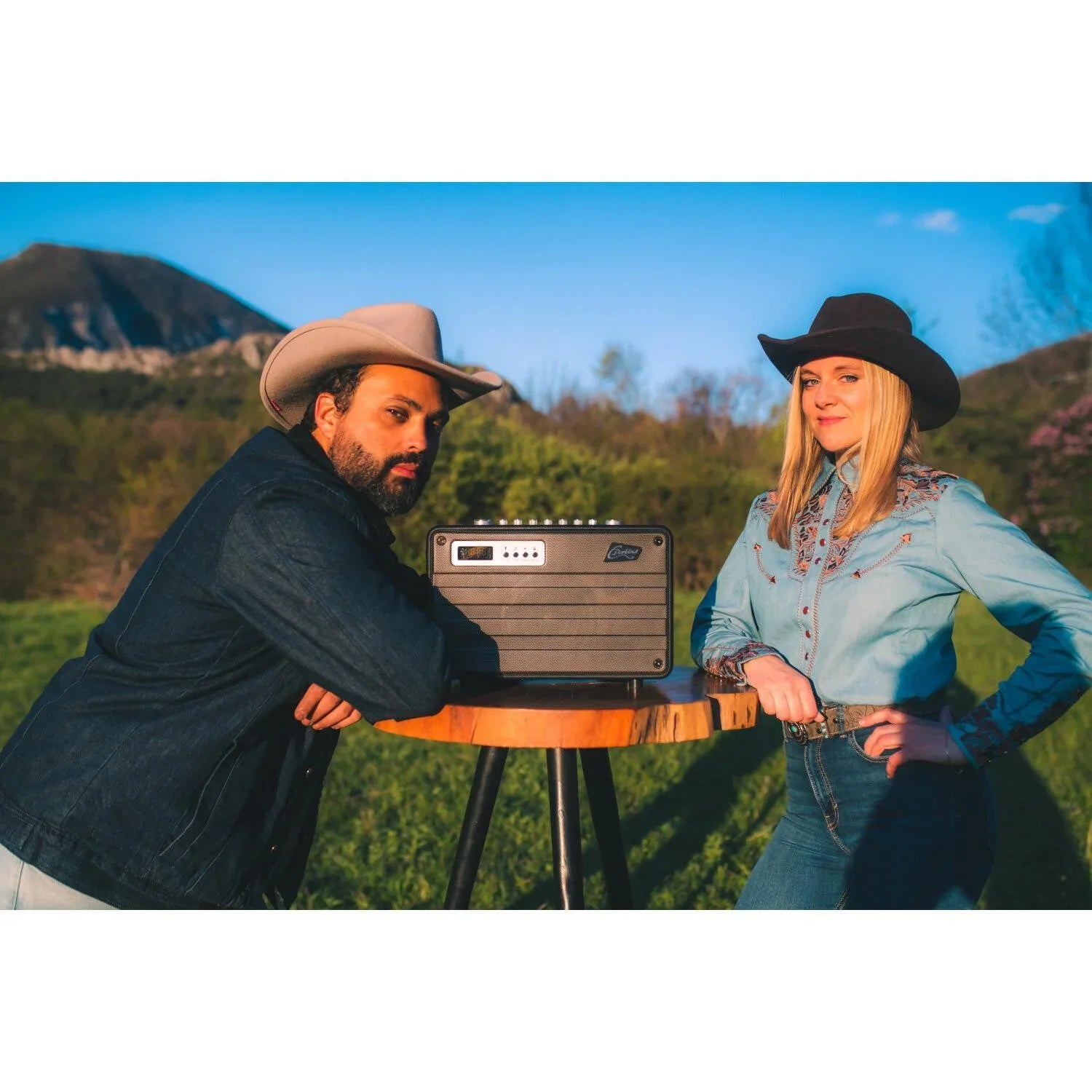 CPerkins Roady FL Portable Combo PA System with UHF Microphone - DY Pro Audio