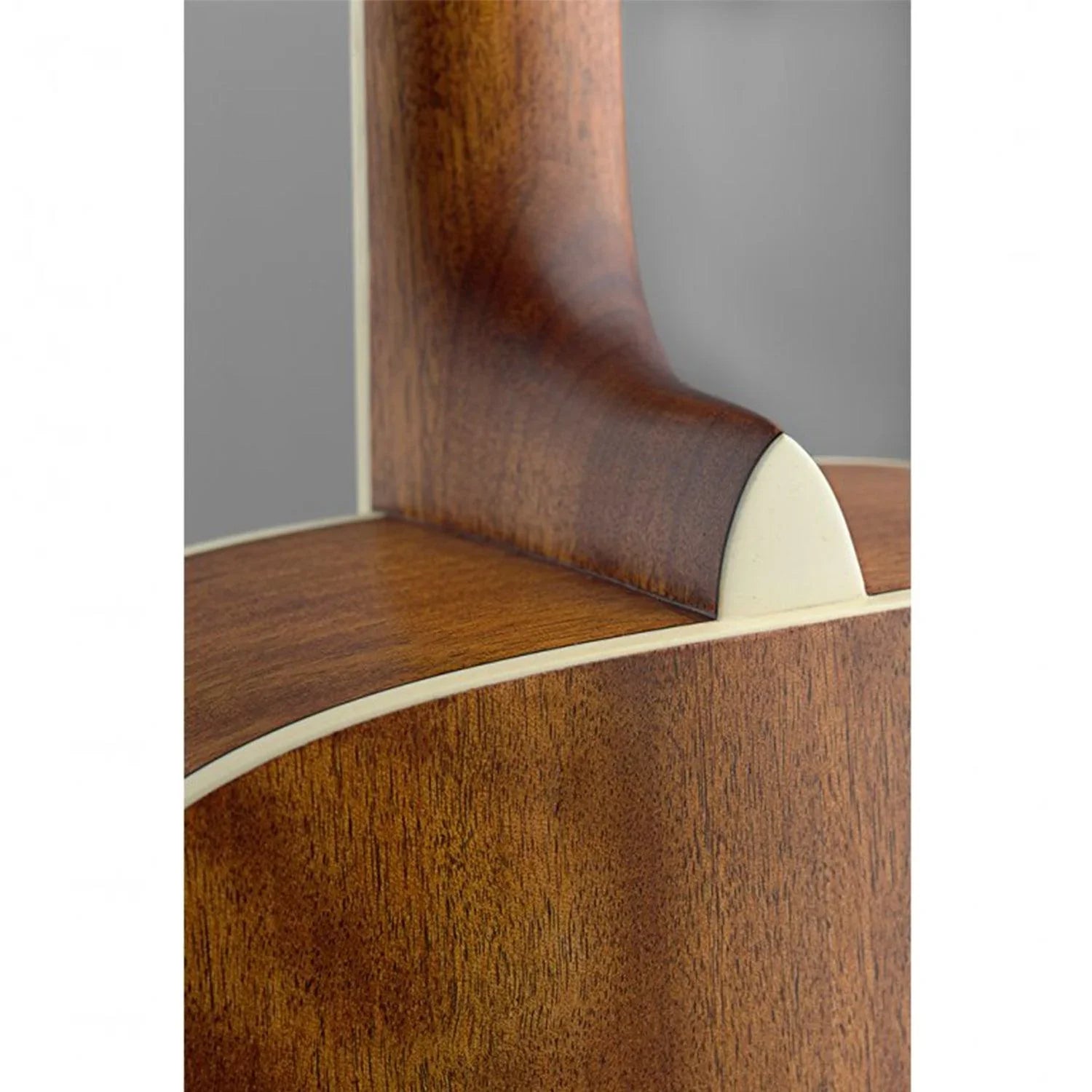 J.N.Guitars ASY-A Asyla Series 4/4 Auditorium Acoustic Guitar with Solid Spruce Top - DY Pro Audio