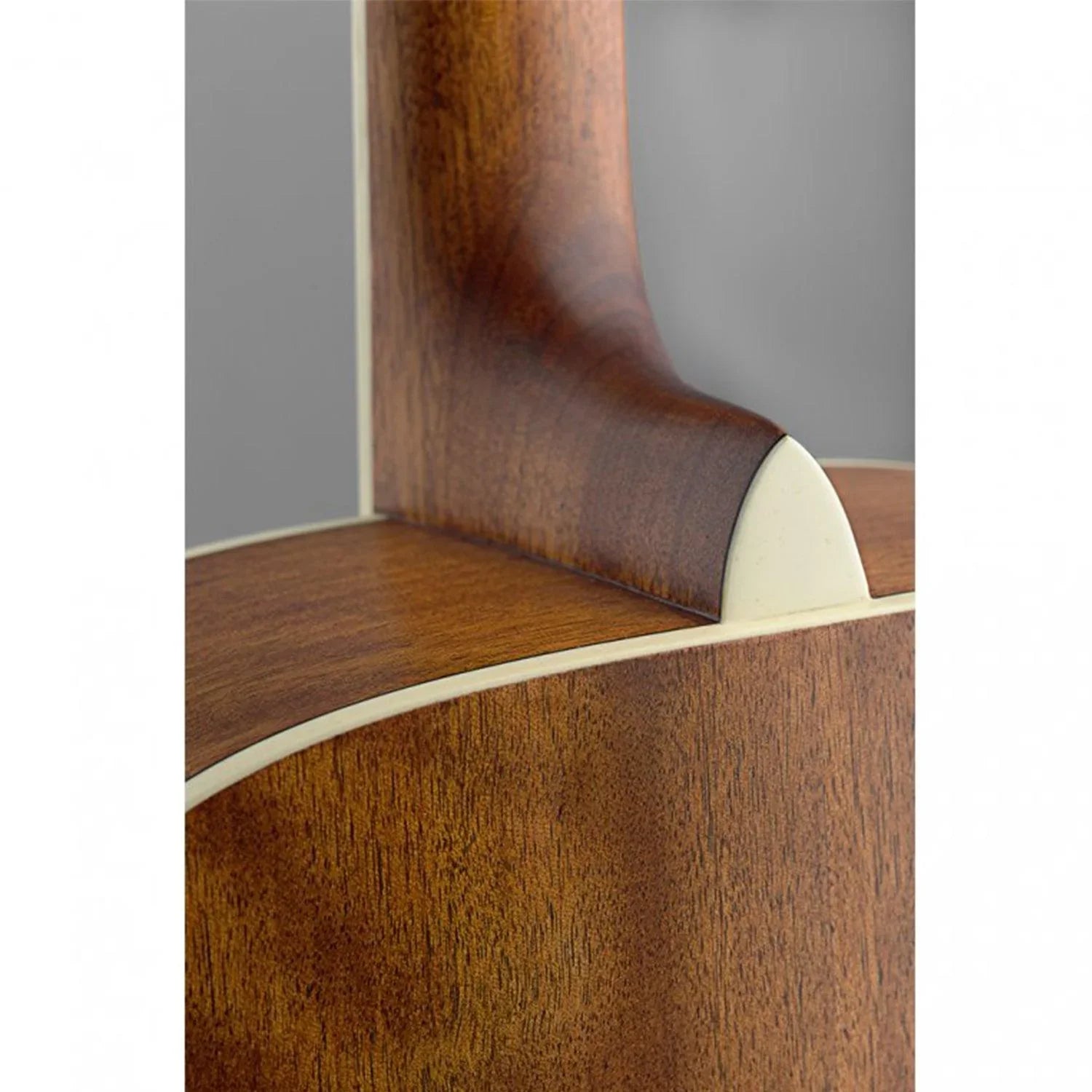 J.N.Guitars ASY-D Asyla Series 4/4 Dreadnought Acoustic Guitar with Solid Spruce Top - DY Pro Audio