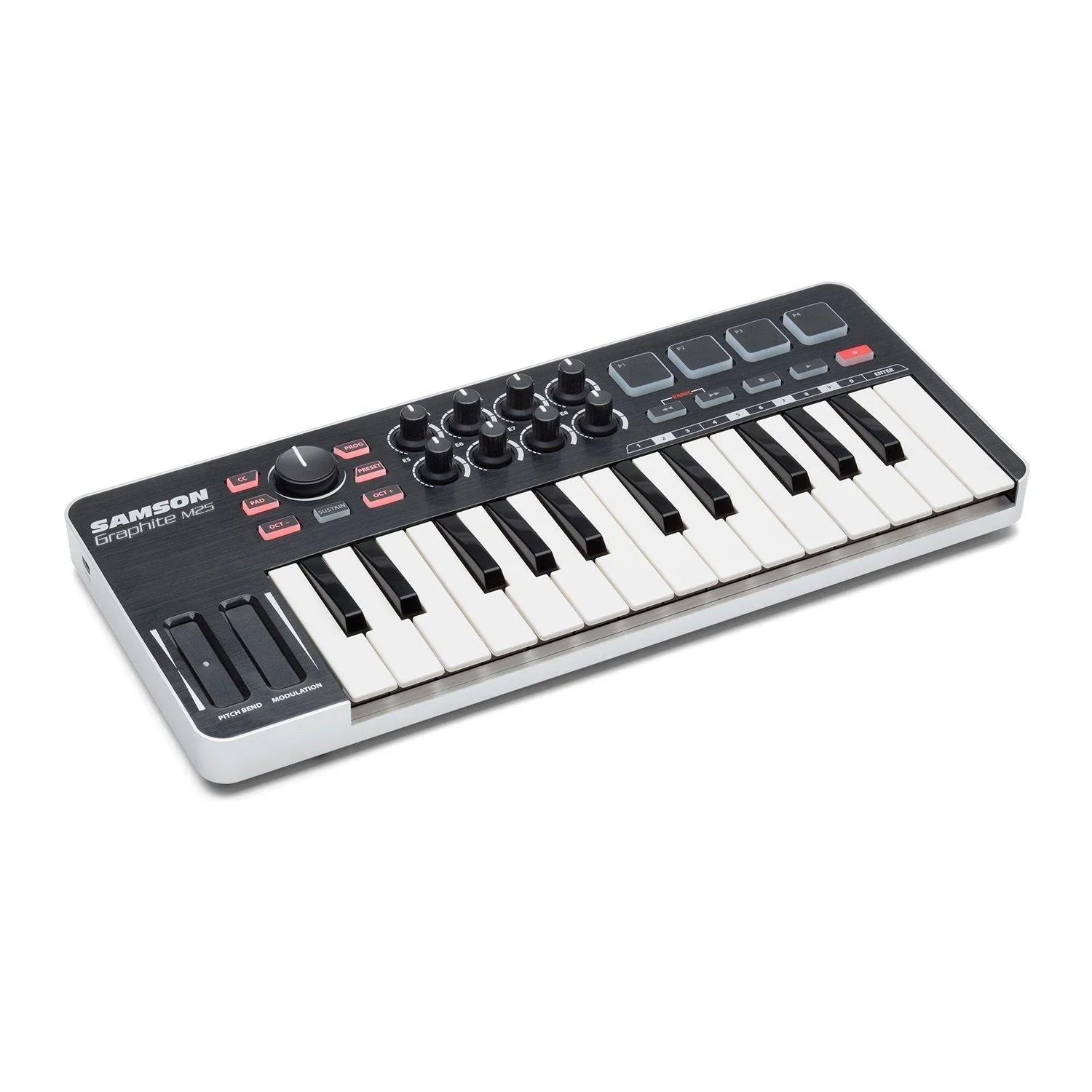 Samson Graphite M25 Mini Keyboard Controller - DY Pro Audio