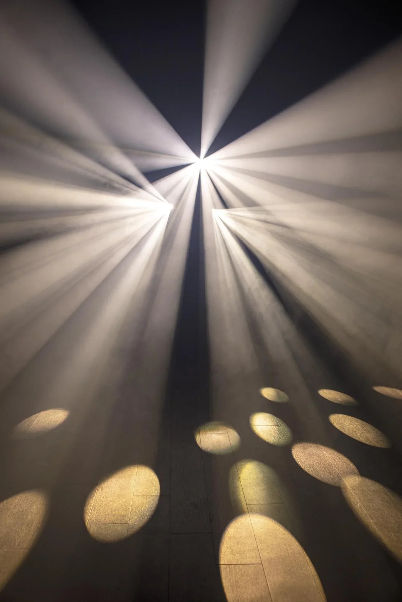 Showtec Dataflower LED Effect Light - DY Pro Audio