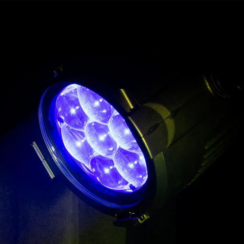 ADJ Encore Z7 LP Par Can - DY Pro Audio