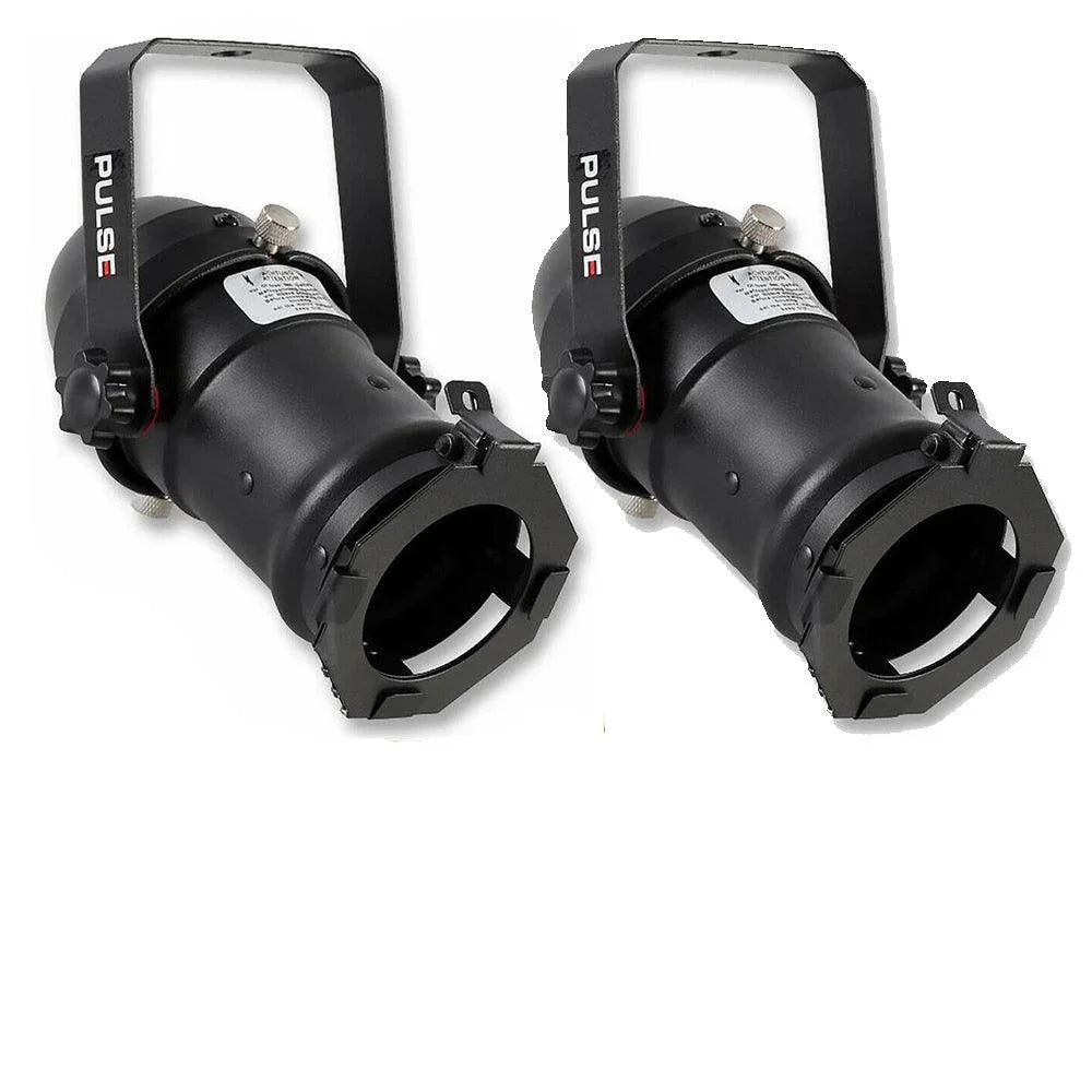 Pulse Par 16 Birdie Par Can Black - DY Pro Audio