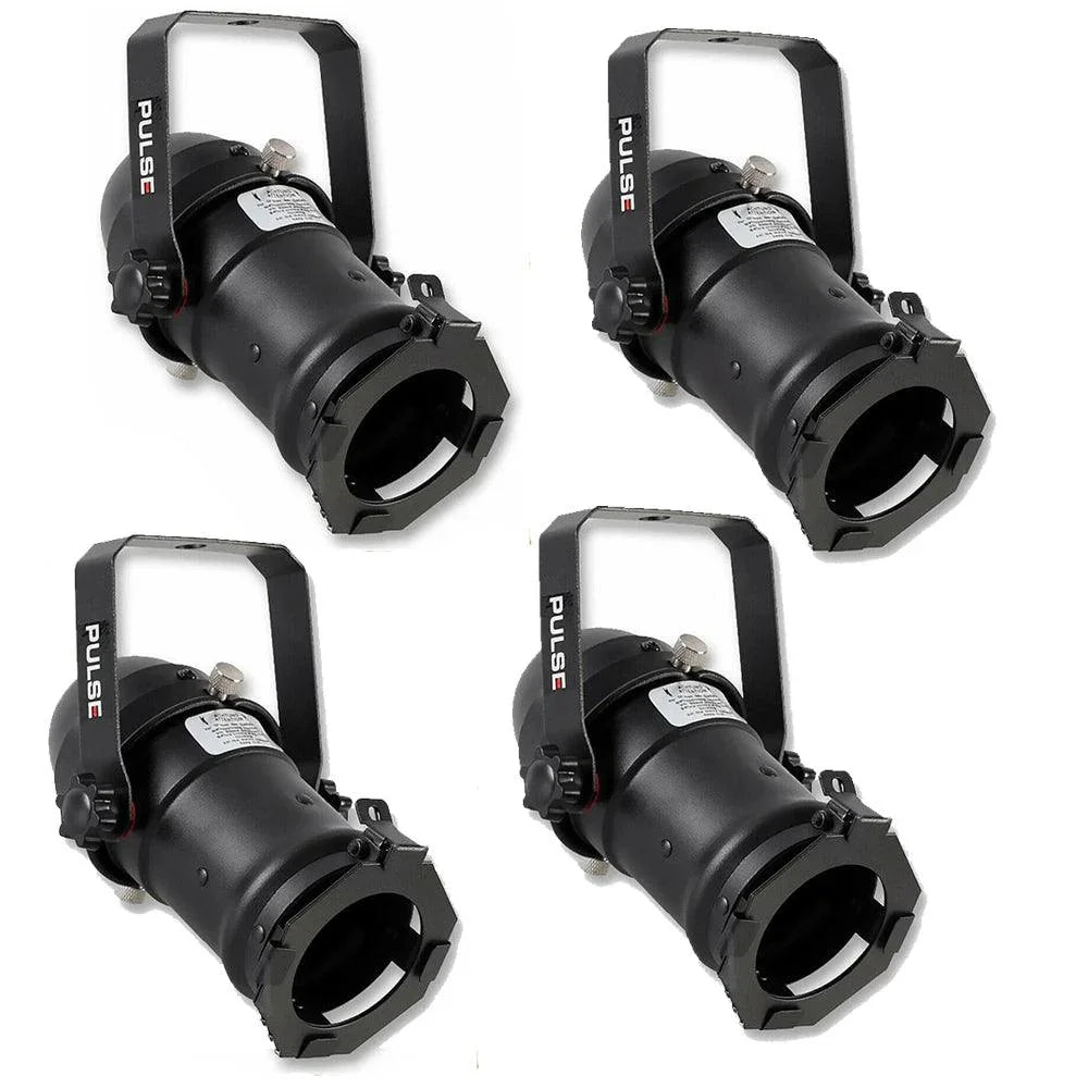 Pulse Par 16 Birdie Par Can Black - DY Pro Audio