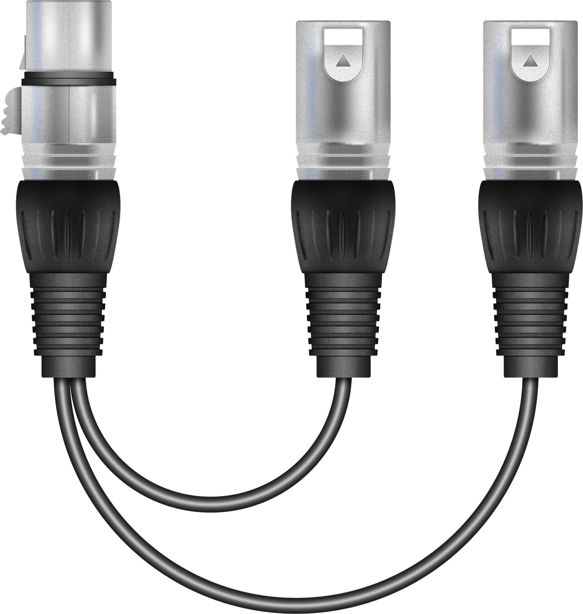 Soundlab 15cm 1 x XLR Female to 2 x XLR Male Splitter Cable - DY Pro Audio