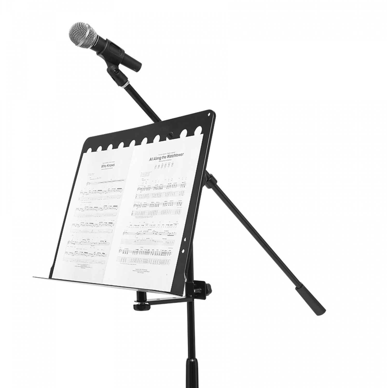 Stagg MUS ARM 2 Sheet Music Holder - DY Pro Audio