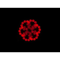 2 x ADJ Focus Spot 5Z Moving Head With DMX Cable