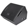 Citronic CM10 10" Passive Wedge Stage Monitor