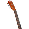 Chord S6 - DZB Sundown Electro - Acoustic Western Guitar - Dark Zebrano