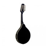 Stagg M50 E BLK Black acoustic-electric bluegrass mandolin with nato top