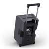 LD Systems Anny 12 12" Portable Battery Powered Bluetooth PA System