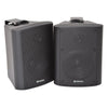 DPA Bar Restaurant Background Music Speaker System