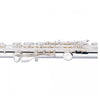Stagg WS - FL211S C Flute, closed holes, offset G, split E 16 Key Flute