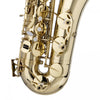 Stagg WS-TS215S Bb Tenor Saxophone with soft case