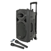 QTX QR12PA 12 inch Portable PA System With 2 x UHF Wireless Microphones