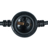 LEDJ 25m ES Festoon with 1m lamp holder spacing