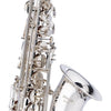 Stagg WS - AS211S Eb Alto Saxophone with Soft Case