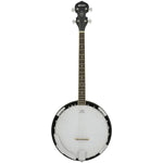 Chord BJ Series 4-String Tenor Banjo - DY Pro Audio