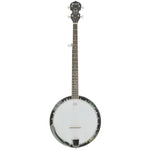 Chord BJ Series 5-String Tenor Banjo - DY Pro Audio