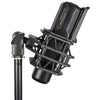 Citronic CM25 Studio Condenser Microphone - DY Pro Audio
