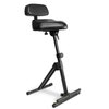 Gravity FM SEAT1 BR height adjustable stool with footrest and backrest