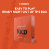 D'Addario RJA1025 Rico Alto Sax Reeds #2.5 10 Pack