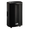 FBT ProMaxX 112a Active Speaker - DY Pro Audio