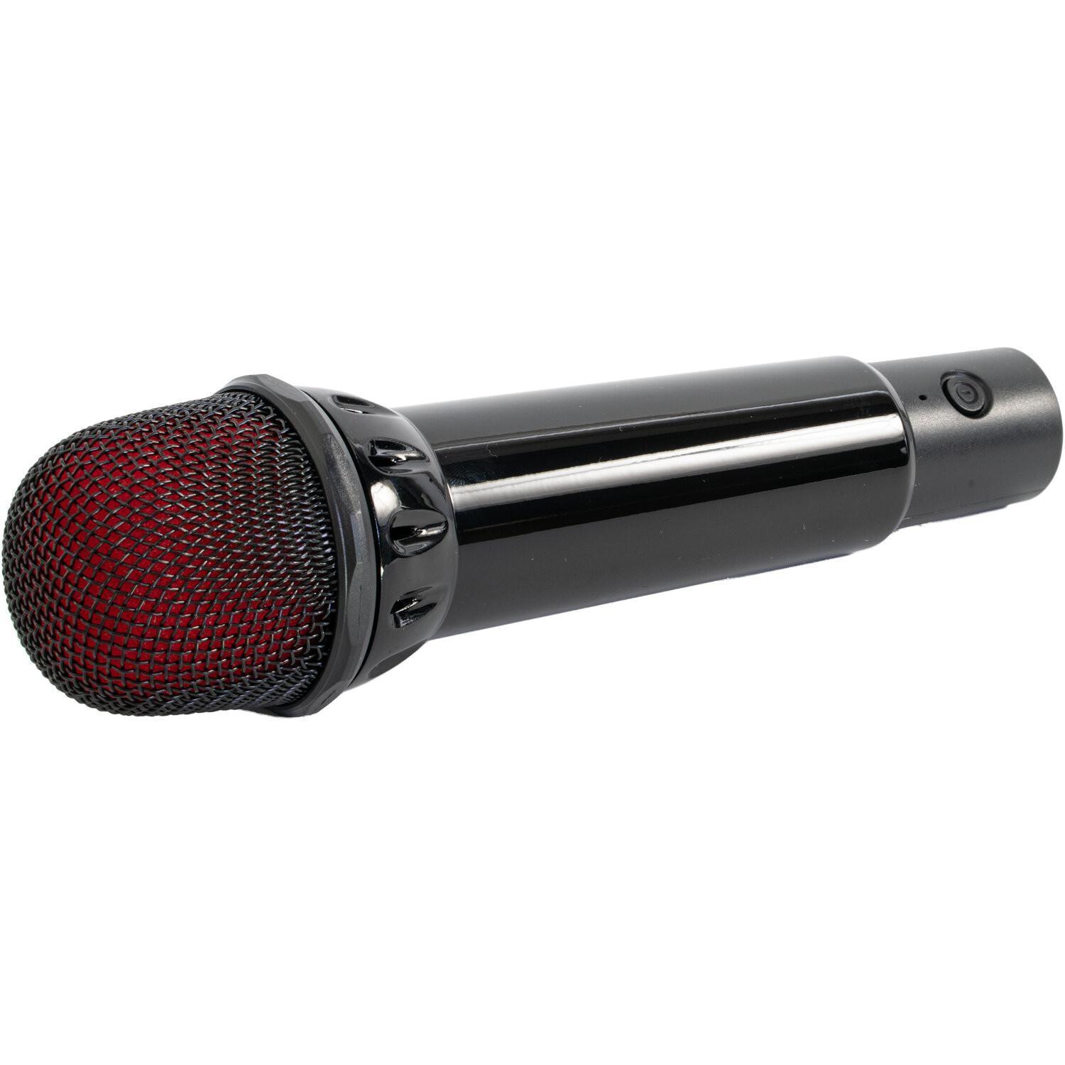 Ibiza KARAHOME-BK Stand-Alone Bluetooth Karaoke Speaker - DY Pro Audio