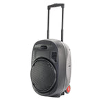 Ibiza PORT12UHF-MKII-TWS Portable PA System with USB MP3 Bluetooth and UHF Mics - DY Pro Audio