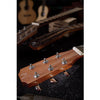 J.N.Guitars ASY - A Asyla Series 4/4 Auditorium Acoustic Guitar with Solid Spruce Top