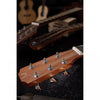 J.N.Guitars ASY - D Asyla Series 4/4 Dreadnought Acoustic Guitar with Solid Spruce Top