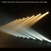 LEDJ CZ100 3000K 100W White COB LED Stage Par Can