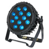 LEDJ Spectra Par 12HEX10 RGBWAUV 12 x 10w Pro Par IP65 Can