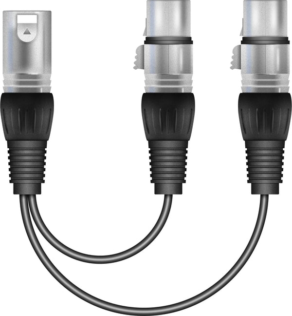Soundlab 15cm 1 XLR Male to 2 XLR Female Splitter Cable - DY Pro Audio