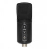 Stagg SUSM60D USB Double Condenser Microphone - DY Pro Audio