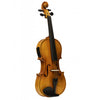 Stagg VN - 4/4 ELEC 4/4 Solid Maple Electric Acoustic Violin with Soft Case