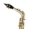 Stagg WS - AS215S Eb Alto Saxophone in Form Case