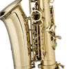 Stagg WS - AS215S Eb Alto Saxophone in Form Case