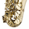 Stagg WS - AS215S Eb Alto Saxophone in Form Case