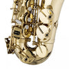 Stagg WS-AS215S Eb Alto Saxophone in Form Case - DY Pro Audio