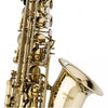 Stagg WS - AS215S Eb Alto Saxophone in Form Case