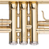Stagg WS-TR115 Bb Trumpet, ML-bore, Brass body material - DY Pro Audio