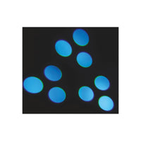 AFX Light MY60-SPOT 60W LED Moving Head - DY Pro Audio