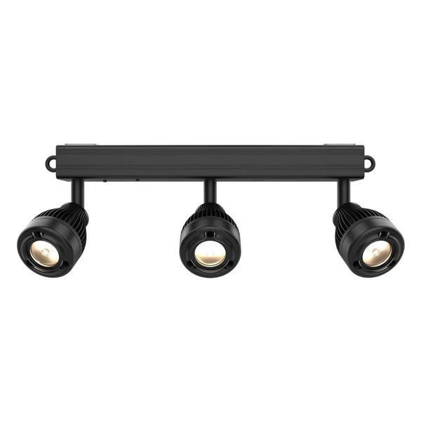 Chauvet DJ EZBar Battery Powered Spot Lighting Effect - DY Pro Audio