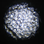 Equinox Waterwave XP 100W Water Effect Light - DY Pro Audio